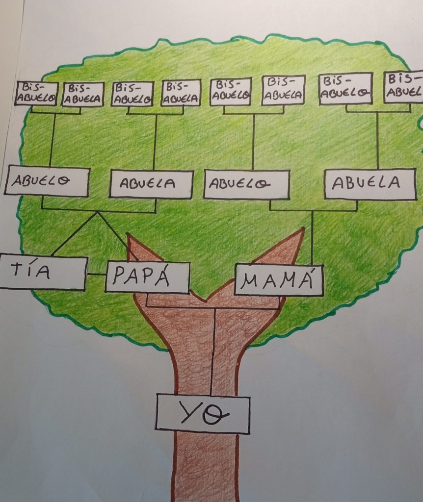 dibujo árbol genealógico